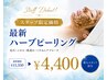 スタッフ限定☆最新ハーブピーリング ￥11,550→
