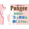 ポンジー(Pongee)のお店ロゴ
