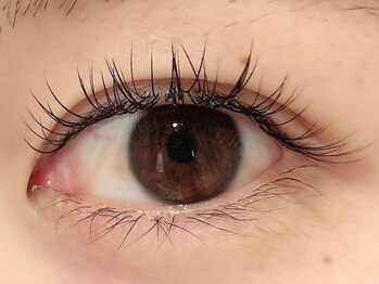 カラン 焼津店(CALIN)/フラットラッシュ120本