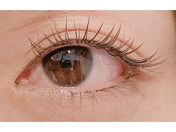 パリーアヴニール(PARIS AVENIR)/オールブラウンつけ放題