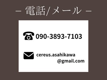 セレウス(Cereus)/＊お問い合わせ（TEL／MAIL）