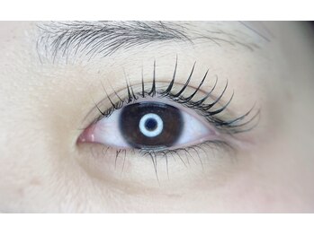 ラメル(Lameru)/ラッシュリフト上下セット6800円