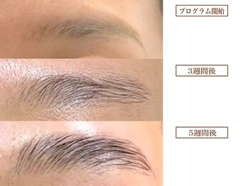 ルナクレスタ 門前仲町店(Luna Cresta)/眉毛プログラム【アイブロウ】