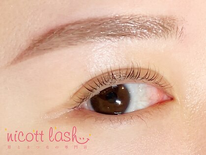 ニコットラッシュ 京橋店(nicott lash)の写真