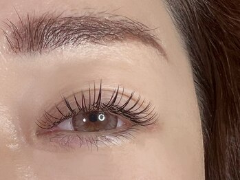 リム(Lim)/フラットラッシュ140本