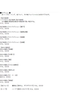 リキアンド3010(Riki & 3010)/☆オプションメニュー