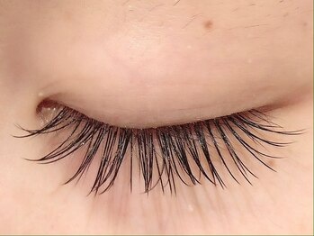 カラン 焼津店(CALIN)/フラットラッシュ120本