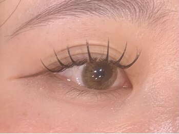 アングゥ ウル(ungu ul)/セーブルラッシュ100本