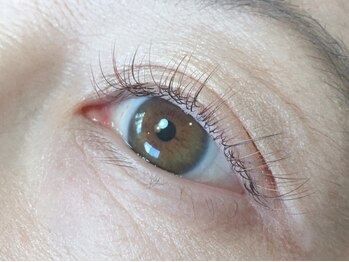 ウタ アイラッシュ(uta eyelash)の写真/ブラウンMIXで普段のエクステをちょっぴりオシャレに♪周りと差のつく、褒められる目元を叶えます☆