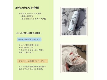 アリー(ALLY)/Wエンザイム酵素洗顔