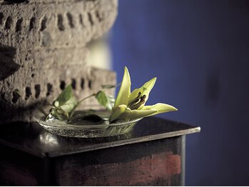 クロードモネ 東京駅丸の内店/サロン 内観