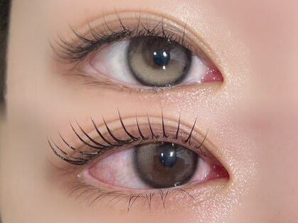 アプシーアイズ(Apsee eyes)の写真