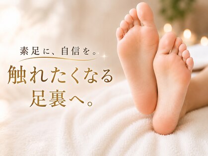 プレヴナンス(Prevenance)の写真