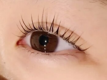 エーリオ(YELLIO)/まつ毛パーマ上のみ