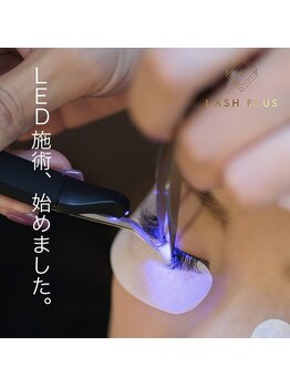 セレンディピティ(Serendipity)/LEDフラットラッシュ