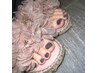 フット　マグネット、フラッシュ　　¥7000