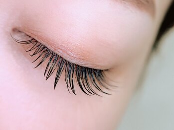 アッシュ 十日市場(Ash)の写真/[フラットラッシュ90分付け放題¥7700]