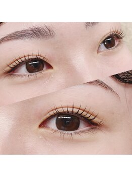 アイラッシュ 66(eyelash 66)/【ラッシュリフト】パッチリ