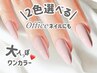 【オフ込み】2色まで選べる♪ワンカラー