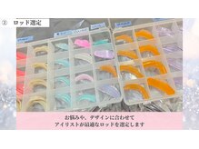 ラビエス(LAVIES)/2　ロッドの選定