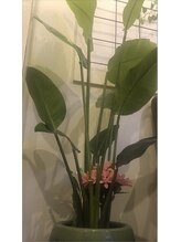 足楽園 代々木上原店/