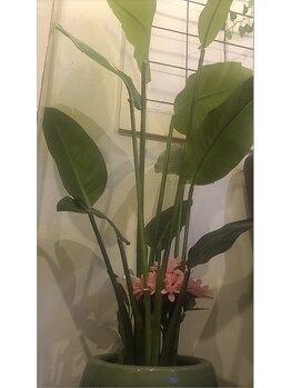 足楽園 代々木上原店/