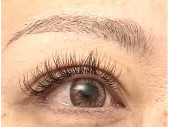 ロータス(Lotus)/カラーエクステ