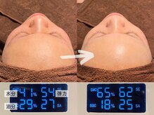 ルーナジェーナ(Luna llena)/