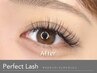 【毛が抜けるまで取れない】柔らかPerfect Lash 100束(200本)【カラー無料】