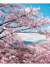 フォーシーズンズ(Four Seasons) ハセガワ 