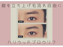 クイック(Quick)/ハリウッドブロウリフト