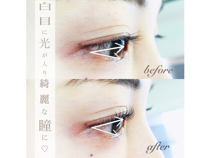 シリーラッシュ 自由が丘南口の写真