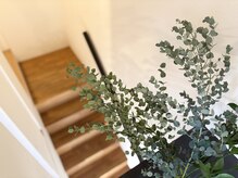 階段を上がった2階がトリートメントルームです