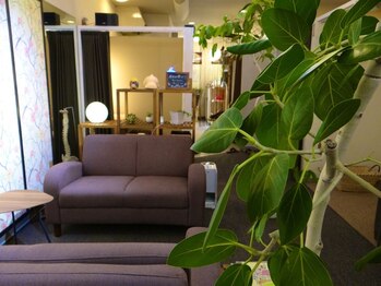 カラマツ/≪サロン内≫