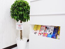 アイケアラボ 四ツ谷店(アイケアLaBo)/明るく清潔感のある店内空間