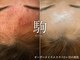 コマ(KOMA)の写真