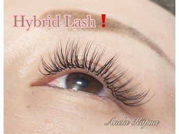 アネラカプア(Anela Kapua)/