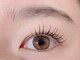 ビオラ 自由が丘(BIORA)の写真/目元のお悩みご相談ください★1人1人の目の形に合わせた施術をします!上品でボリュームのある目元を演出♪