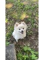 スウィートラッシュ 朝霞台店(Sweet Lash)&nbsp;実家で飼ってるポメラニアンです！！