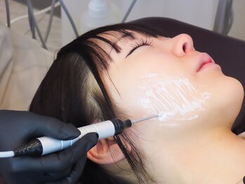 リープ(Leap)/エレクトロポレーション