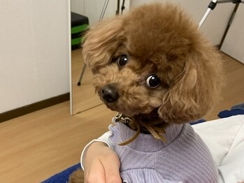 プライムボディアンドゴルフ(Prime Body&Golf)/可愛いでしょ