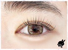 バニーラッシュ(Bunny Lash)/【まつげパーマ】