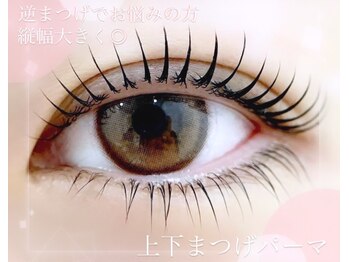 アユーダ(ayuda)/上下ぱっちりまつげパーマ