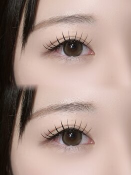 ミイプ(MEPP)/たにわき担当・フラットラッシュ