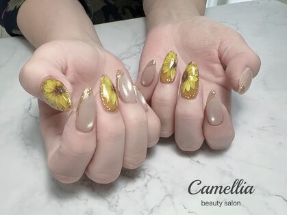 カメリア(Camellia)の写真