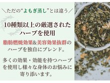 ヨサパーク ナオ(YOSA PARK Nao)の雰囲気（痩身/ダイエット/よもぎ蒸し痩身/リンパマッサージ /ブライダル ）