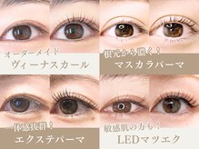 まつげエクステ専門店 ヴィーナスラッシュ 自由が丘店(Venus Lash)の雰囲気(豊富なメニューから理想や悩みに最適なまつげパーマ/エクステを!)