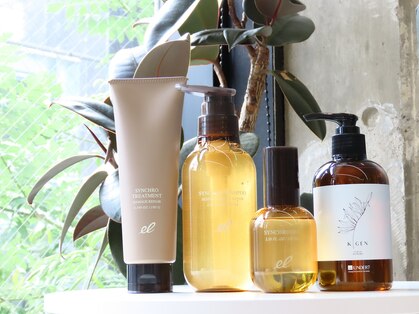 シャウルデッサン(CHARLESDESSIN)の写真