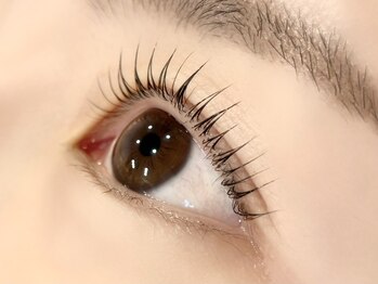 ローバー(ROVER)/