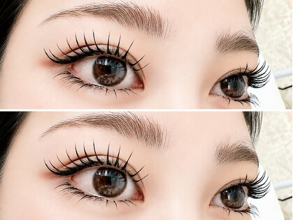 クレビア(CREBIA)の写真